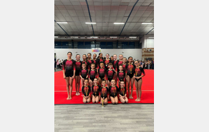 Championnat Interdépartemental : Fed Occ / Perf poussines