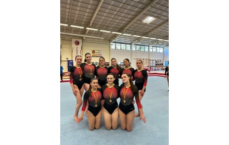 Championnat Interdépartemental : Fédéral A GAF